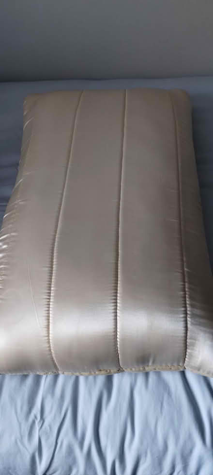Photo of free Memory foam pillow with pillowcase (Melton Park NE3) #2