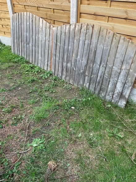 Photo of free Fence Panels & Gravel Boards (Abraham Heights LA1) #2