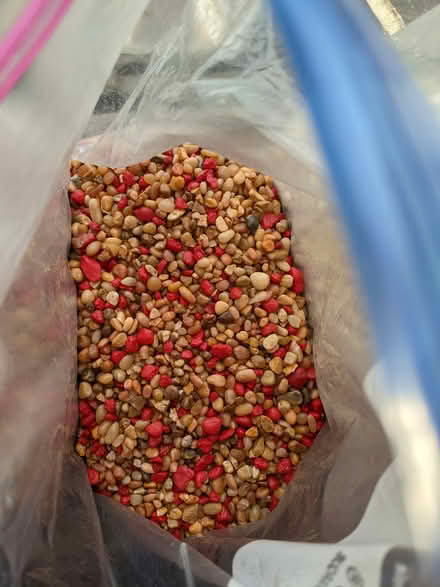 Photo of free rocks/gravel/sand (Washington Heights near GWB) #2