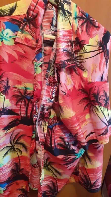 Photo of free Hawian Shirts (Exeter EX2) #2