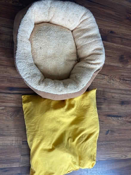 Photo of free Small dog cat bed and pillow (PO12) #1
