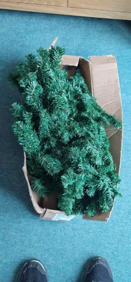 Photo of free 5ft green Christmas tree (Chelmsford CM1) #1