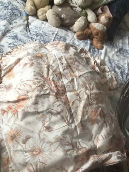 Photo of free Sofa bed (BS37) #4