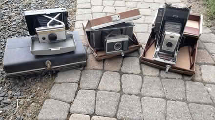 Photo of free Old Polaroids (01085) #1