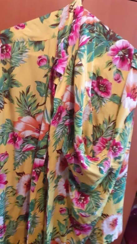 Photo of free Hawian Shirts (Exeter EX2) #3