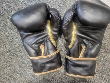 Photo of free Boxing gloves (Campton SG17) #1