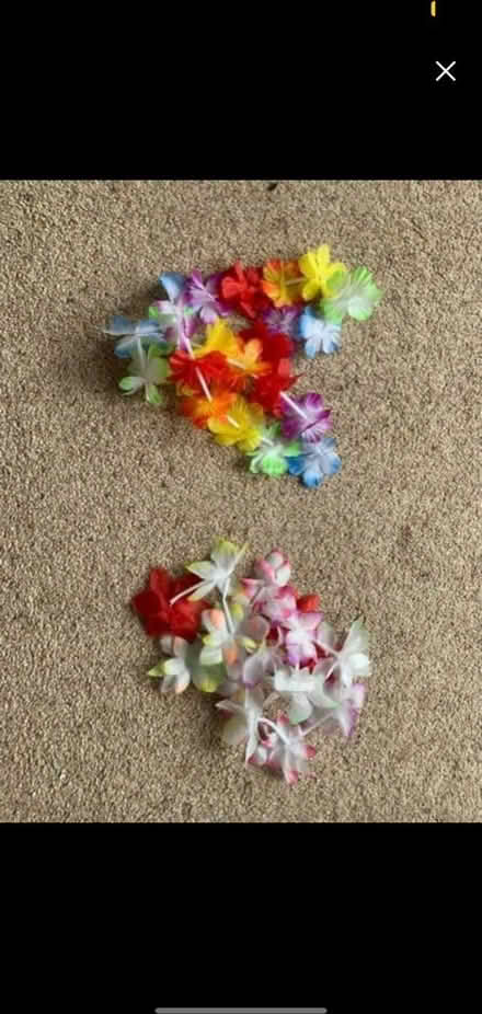 Photo of free 2 flower garlands (Mickleover, Derby, DE65) #1