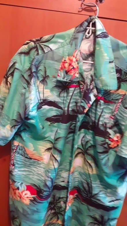 Photo of free Hawian Shirts (Exeter EX2) #1