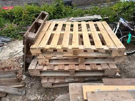 Photo of free Pallets (Frenchwood PR1) #1
