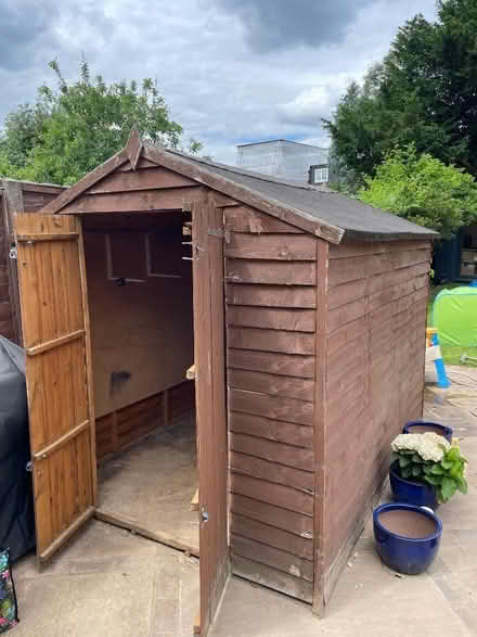 Photo of free Garden shed (Teddington TW11) #3