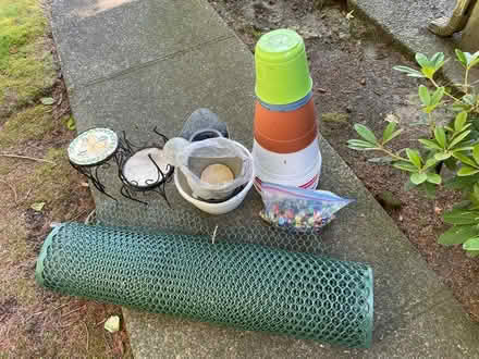 Photo of free Calling creative thrfty green thumb (Kent East Hill) #1