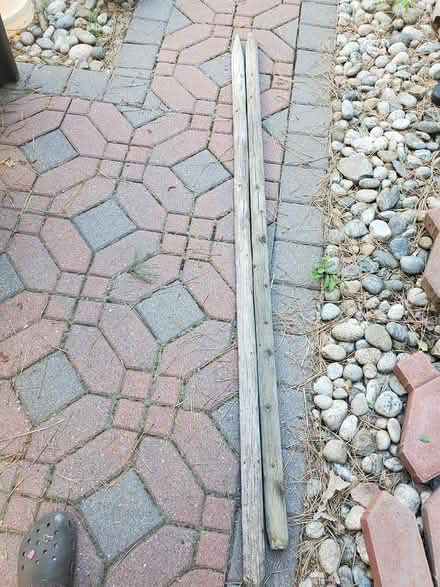 Photo of free Tree stakes for newly planted trees (East Longmont) #1
