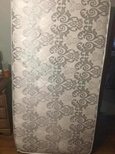 Photo of free Twin mattress and box spring (South city near Affton) #1