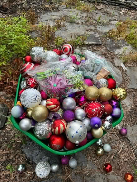 Photo of free Christmas ornaments (Near TR) #1