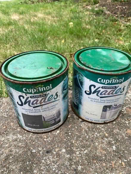 Photo of free Garden fence / shed wood paint (Beckenham) #2