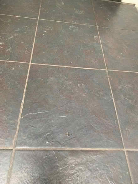 Photo of Black floor tiles (Haydon, Radstock) #1