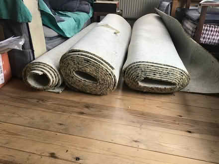 Photo of free Carpet underlay (Exeter, St Thomas) #2