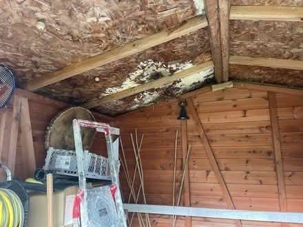 Photo of free 8 x 8 summer house/shed (Baldock) #2
