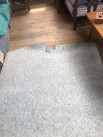 Photo of free Carpet underlay (Exeter, St Thomas) #3