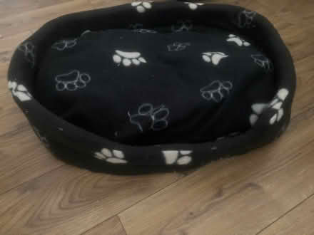 Photo of free Dog bed (Walshaw BL8) #1