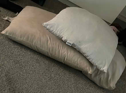 Photo of free 3 memory gel filled pillows (Kent East Hill) #1