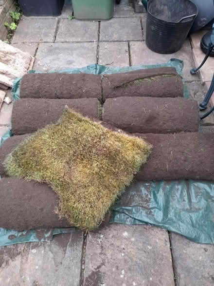Photo of free 7 x rolls of turf (CV8) #1
