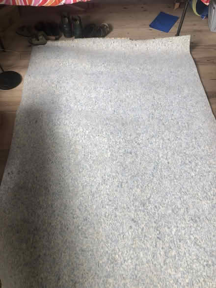 Photo of free Carpet underlay (Exeter, St Thomas) #1