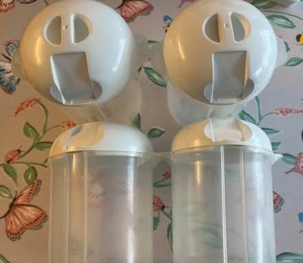 Photo of free Yogurt maker inner containers (Ferndale DY11) #1