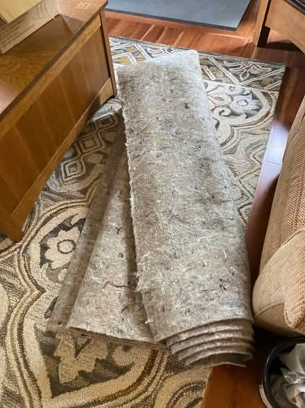 Photo of free 9x12’ rug with pad (West Kingston) #2