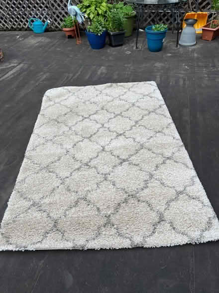Photo of free 5’x7’ Safavieh Area Rug (Coventry Village) #1