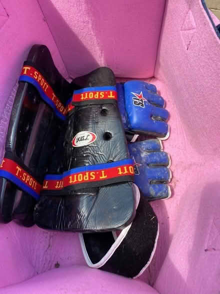 Photo of free Taekwondo/Kick-boxing Gloves (Bridgwater) #1