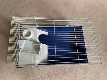 Photo of free Indoor hutch (Guinea pig/small rabbit) (High Brooms TN4) #1