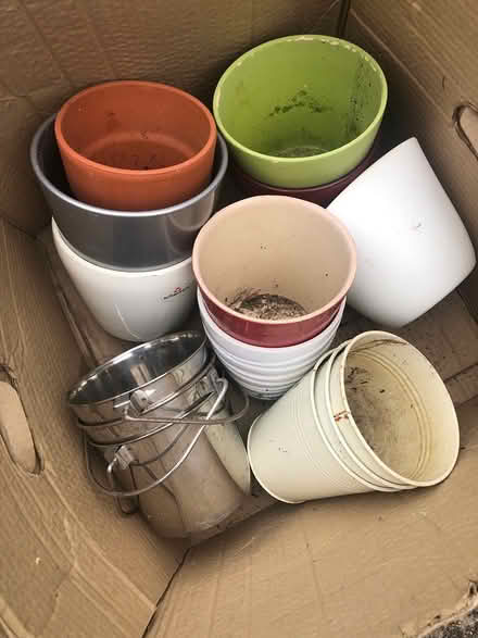 Photo of free Plant pots (Hoddesdon EN11) #1