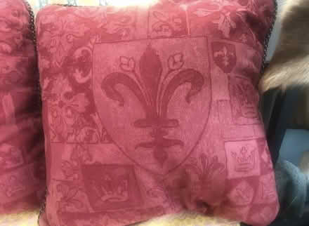 Photo of free four feather cushions 56cm x 56cm (Blagdon BS40) #2