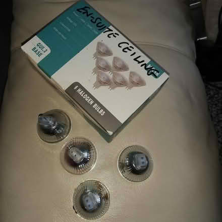 Photo of free MR16 GU5.3 Halogen bulbs (L14, Knotty Ash) #1