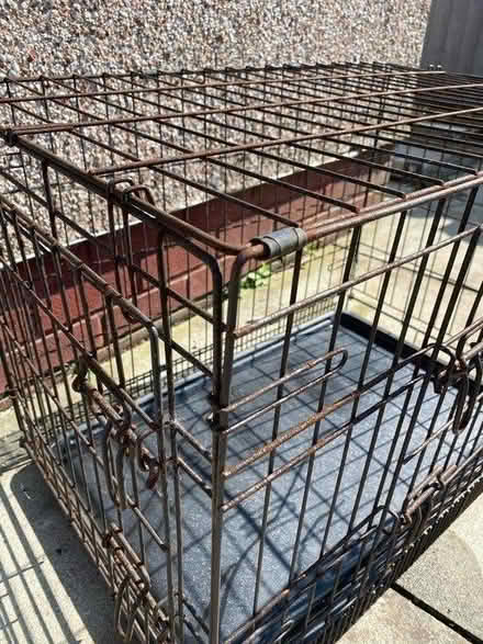 Photo of free Dog cage medium (L27) #1