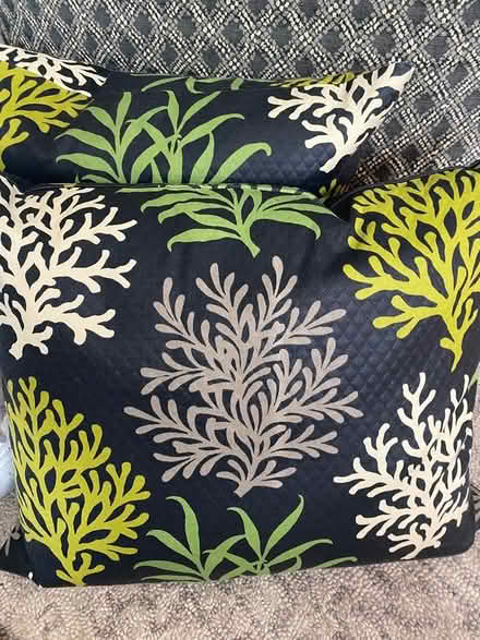 Photo of free Nice accent pillows (Highlands) #1