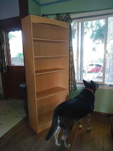 Photo of free Book Shelf (West seattle admiral) #1