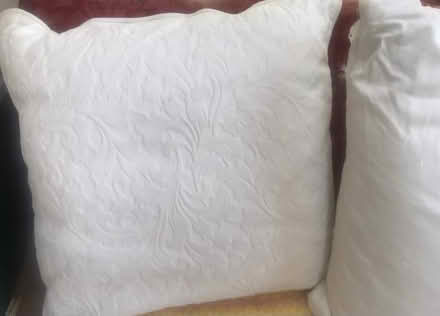 Photo of free four feather cushions 56cm x 56cm (Blagdon BS40) #3