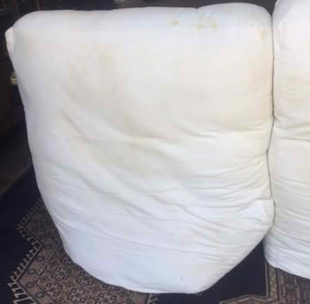 Photo of free large sofa cushions/dog bed? (Blagdon BS40) #1