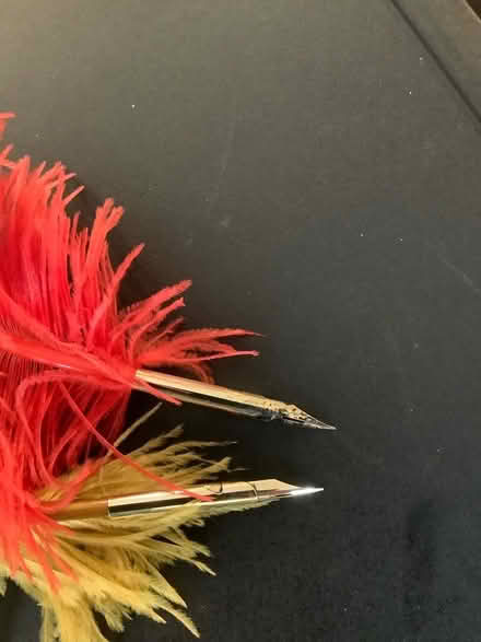 Photo of free Quill pens (without the ink) (Ypsilanti,byEllsworth&Mich Ave) #1