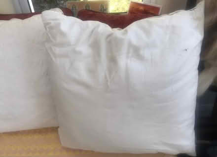 Photo of free four feather cushions 56cm x 56cm (Blagdon BS40) #1