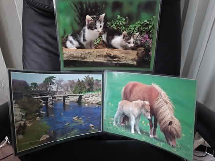 Photo of free 3 picture placemats (Wynford) #1