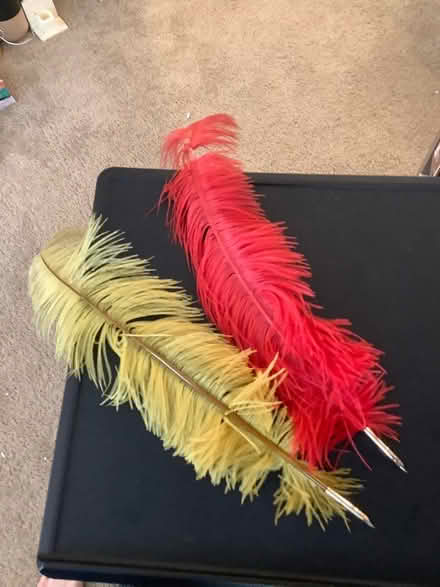 Photo of free Quill pens (without the ink) (Ypsilanti,byEllsworth&Mich Ave) #2