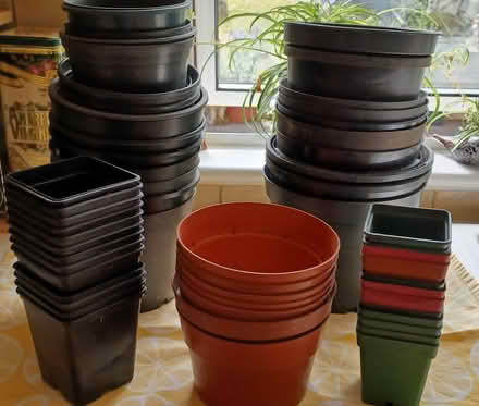 Photo of free Plastic Plant Pots (Uxbridge UB10) #1