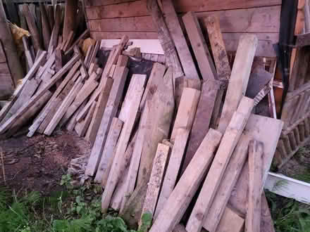 Photo of free Timber (DH4) #1
