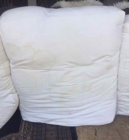 Photo of free large sofa cushions/dog bed? (Blagdon BS40) #3