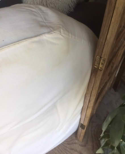 Photo of free large sofa cushions/dog bed? (Blagdon BS40) #2