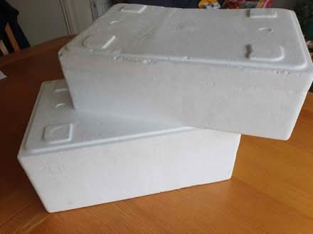 Photo of free 2x Polystyrene Storage boxes (Colehill BH21) #2