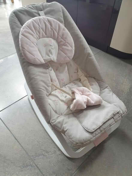 Photo of free Baby bouncer chair (Allerton L18) #1